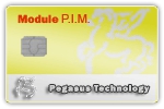 Module P.I.M. (PIM)